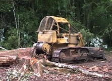 Bulldozer with felled tree in rainforest