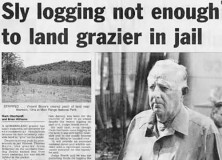 Cover of the Courier Mail from October 2005 with headline reading "Sly logging not enough to land grazier in jail"