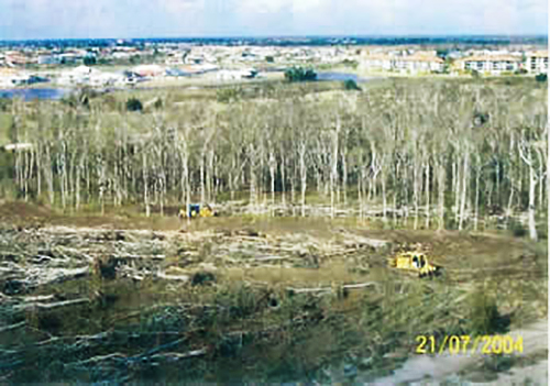 Bulldozers on the Pelican Links site undertaking pre-emptive clearing on 21 July 2004, taken by officers of the Caloundra City Council from a helicopter