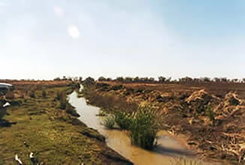 Windella Ramsar wetland after clearing